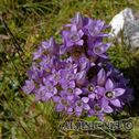 IMG_7942_aDxO