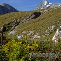 IMG_7952_aDxO