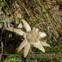 IMG_7960_aDxO