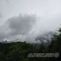 IMG_4894