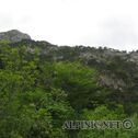 IMG_4898