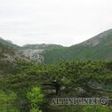 IMG_4899