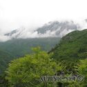 IMG_4900