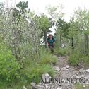 IMG_4904
