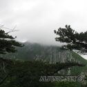 IMG_4909