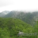 IMG_4910