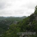 IMG_4911
