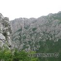 IMG_4914