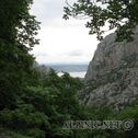 IMG_4915